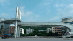 更是通过系统进修取实践
